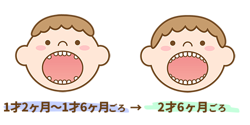 赤ちゃんの歯が生える時期