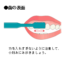 歯の表面の磨き方