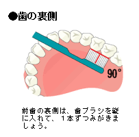 歯の裏の磨き方