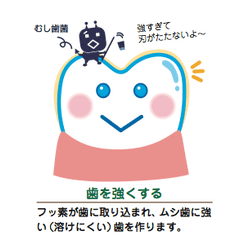 歯を強くする