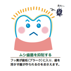 ムシ歯菌を抑制