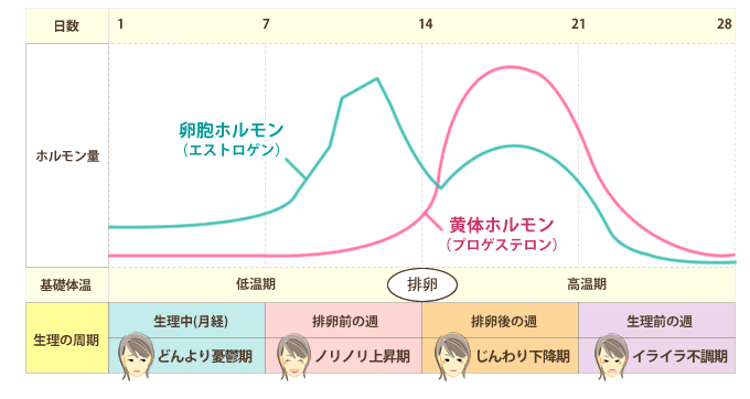 歯が痛い専門サイト 生理前に歯が痛い原因と治療法 対処方法 医療法人真摯会 クローバー歯科クリニック まつもと歯科